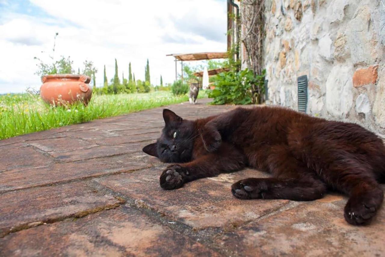 Agriturismo Fattoria Di Statiano Pomarance Luaran gambar